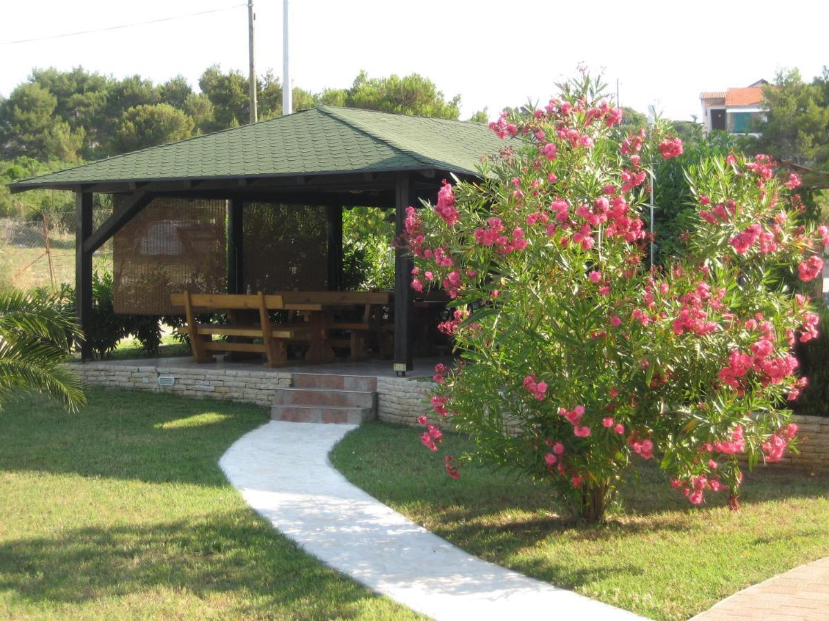 Villa „Drei Palmen“ Sveti Filip i Jakov Exterior foto
