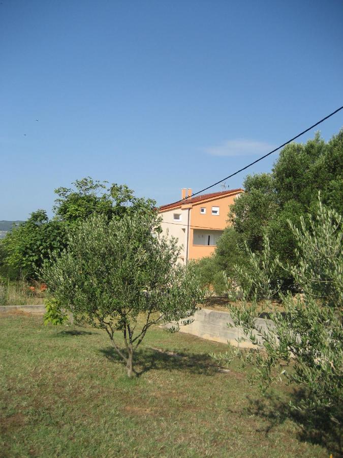 Villa „Drei Palmen“ Sveti Filip i Jakov Exterior foto