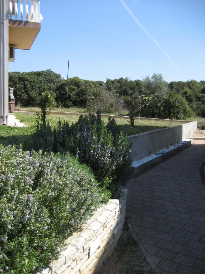 Villa „Drei Palmen“ Sveti Filip i Jakov Exterior foto