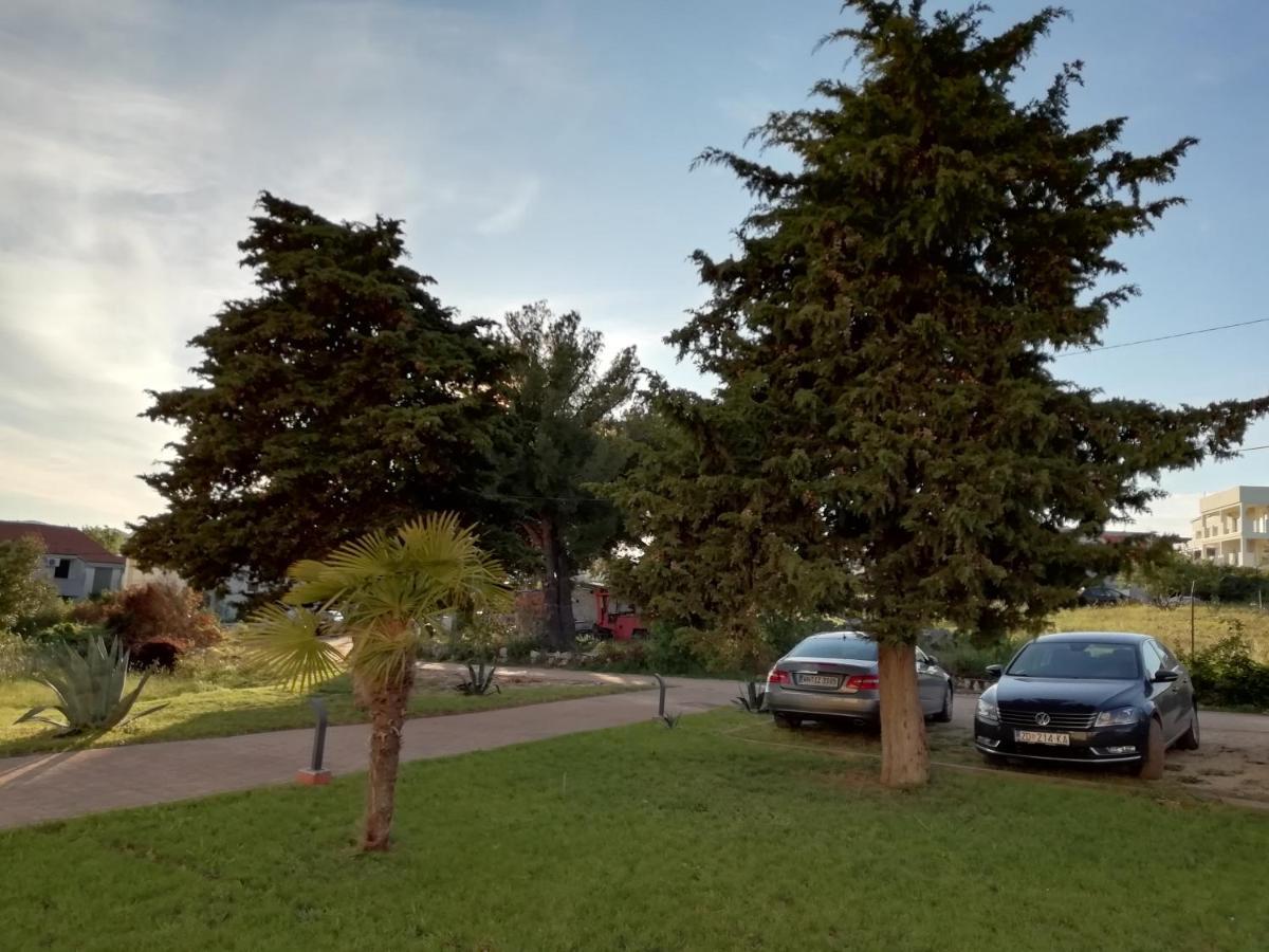 Villa „Drei Palmen“ Sveti Filip i Jakov Exterior foto