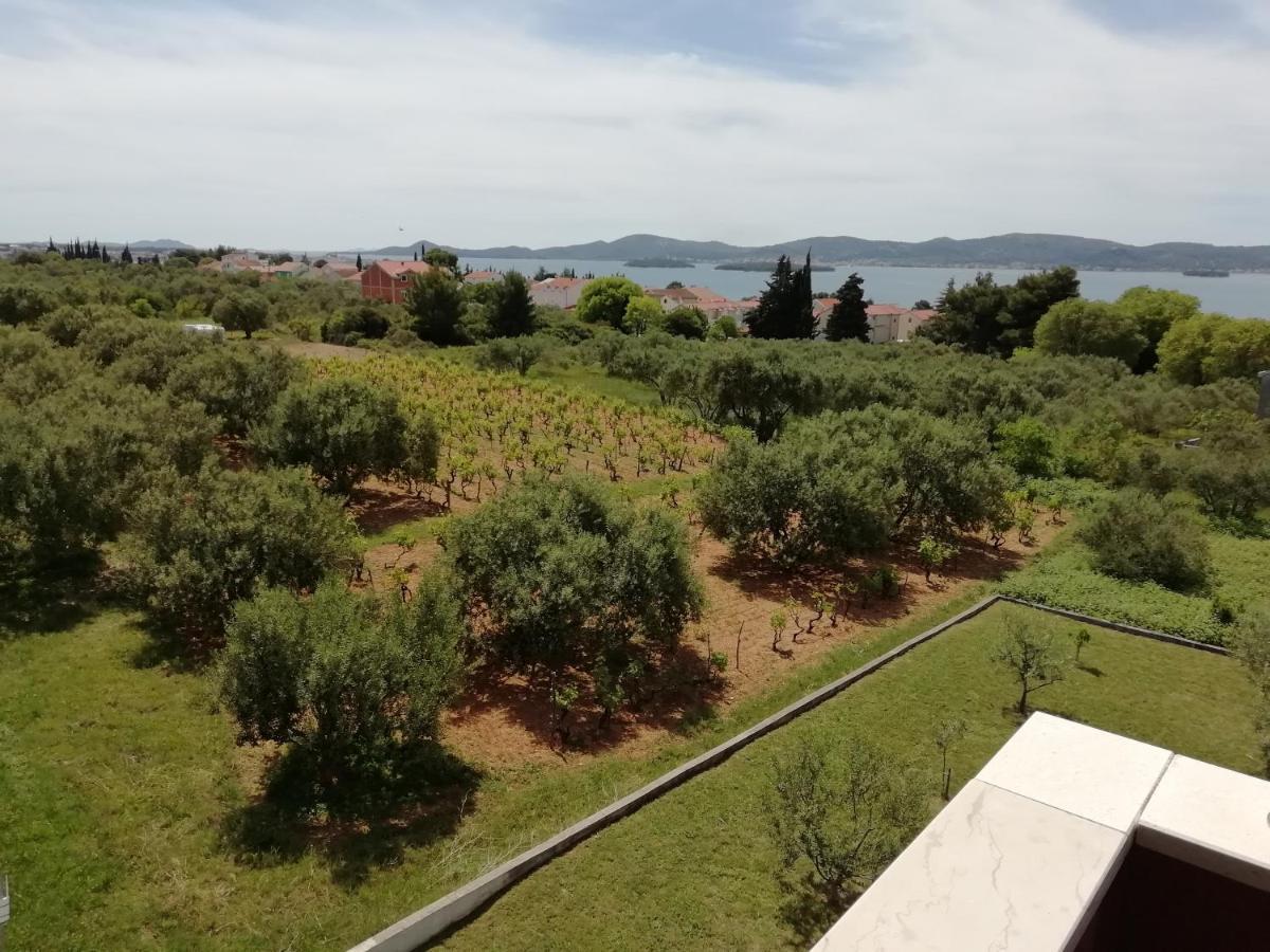 Villa „Drei Palmen“ Sveti Filip i Jakov Exterior foto